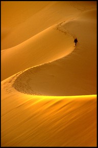 Photo:  link_Desert