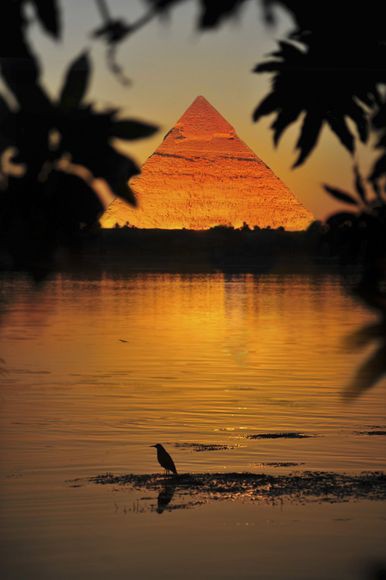 Photo:  link_Egypt