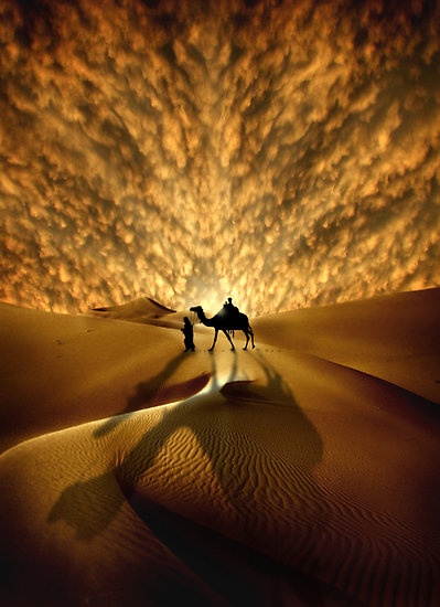Photo:  Desertc
