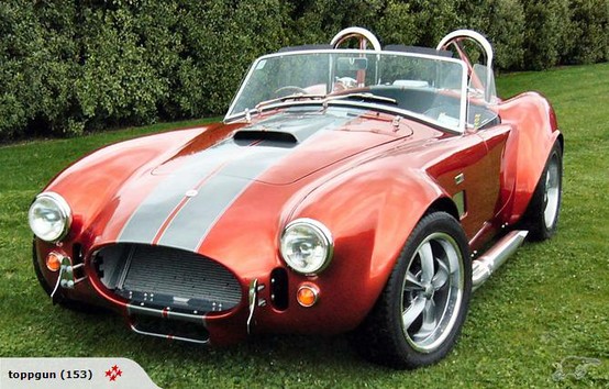 World products 427 ford #3