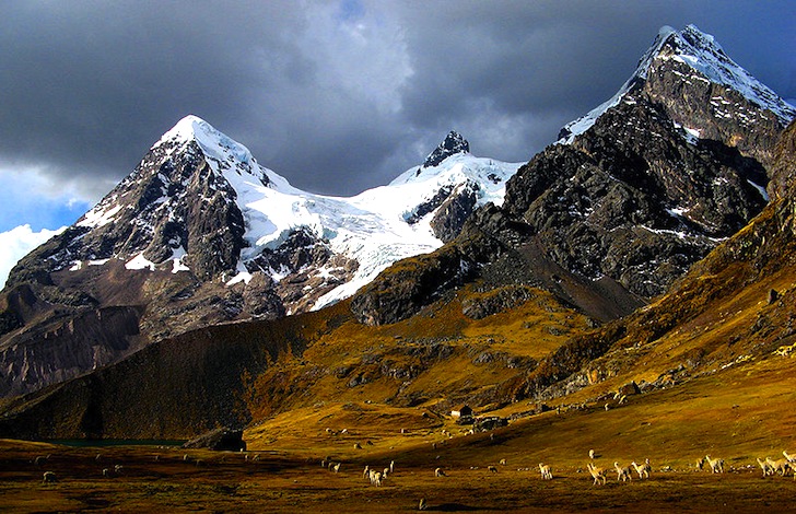 Photo:  ANDES